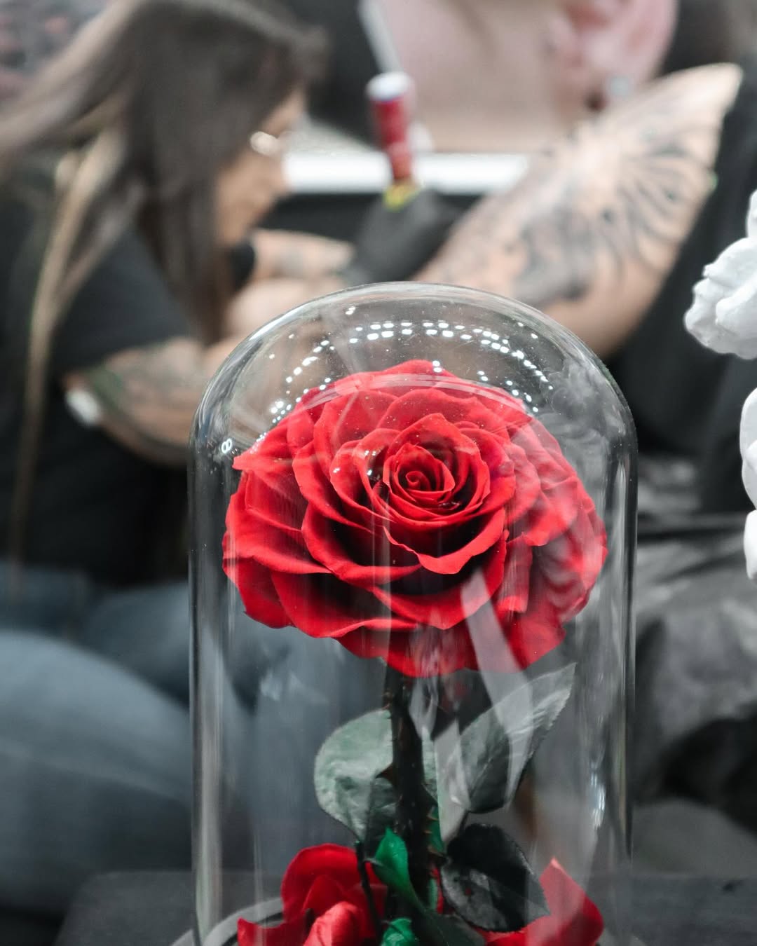 Oporto Tattoo 2024 - 3